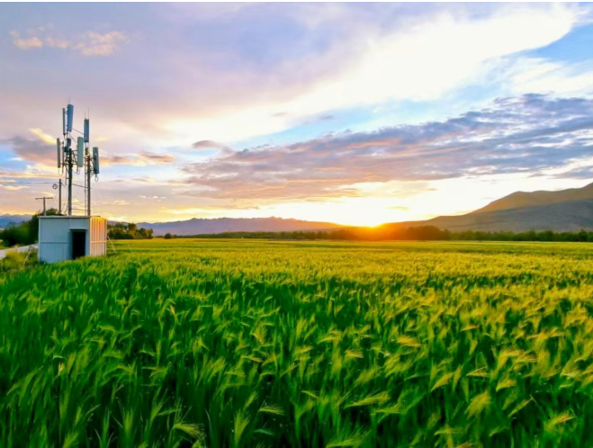 1760930765975083022.png image.png