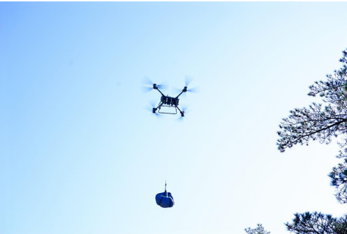 1763555700756009678.png image.png